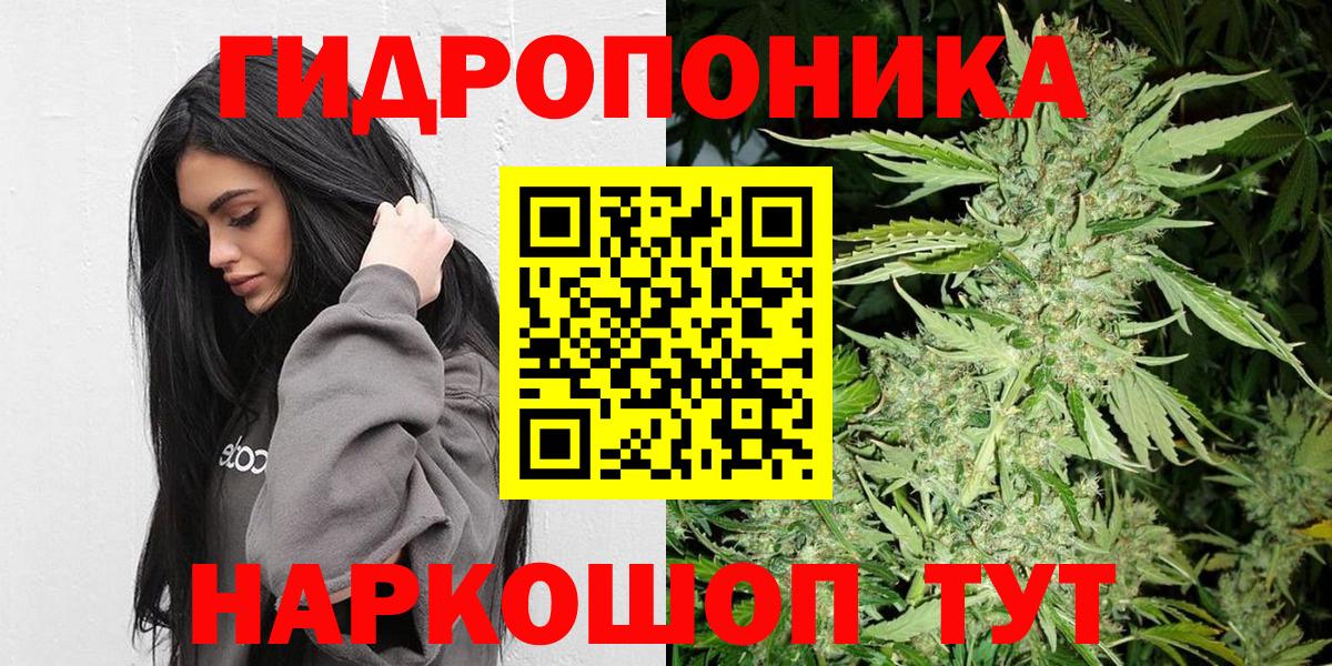 Конопля Bruce Banner Балабаново
